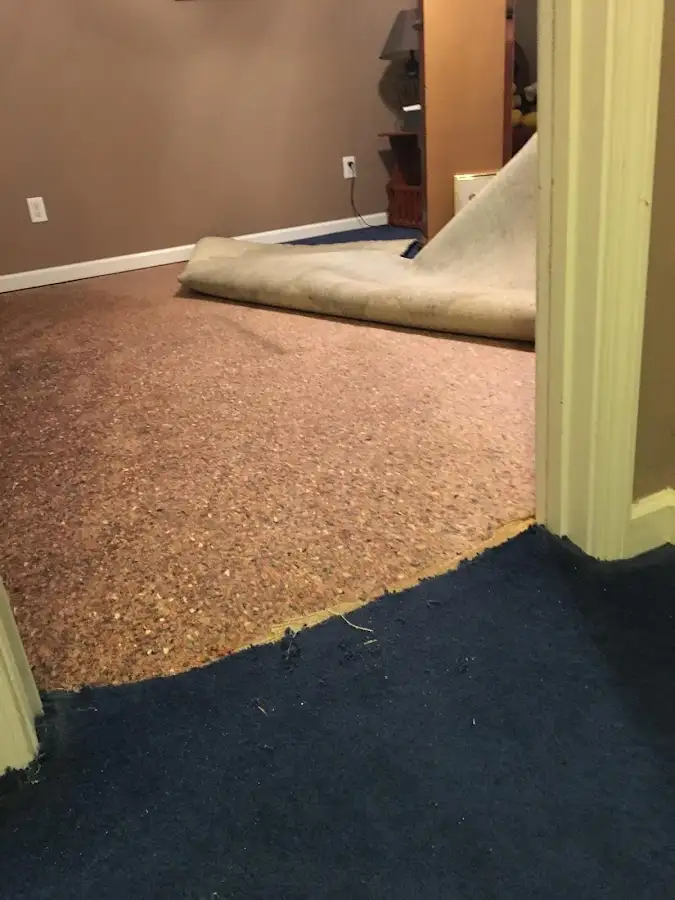 Carpet pad removal revealing water damage during Water Mitigation Services in Athens